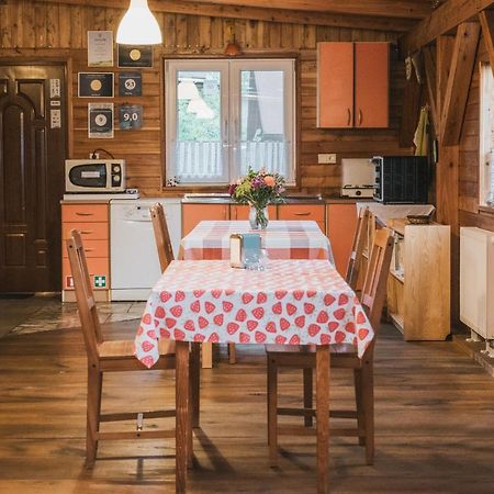 Agroturystyka Pod Modrzewiami Nowy Tomyśl Extérieur photo