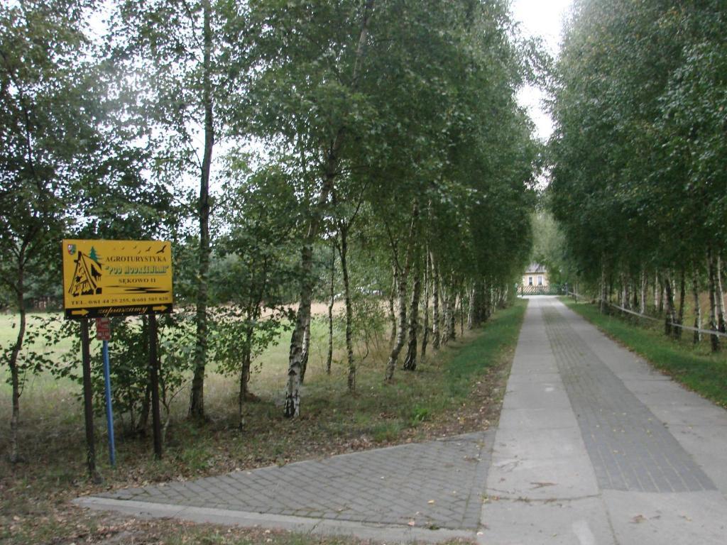 Agroturystyka Pod Modrzewiami Nowy Tomyśl Extérieur photo