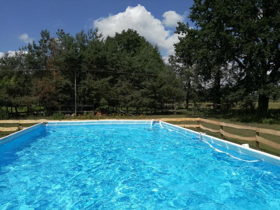 Agroturystyka Pod Modrzewiami Nowy Tomyśl Extérieur photo