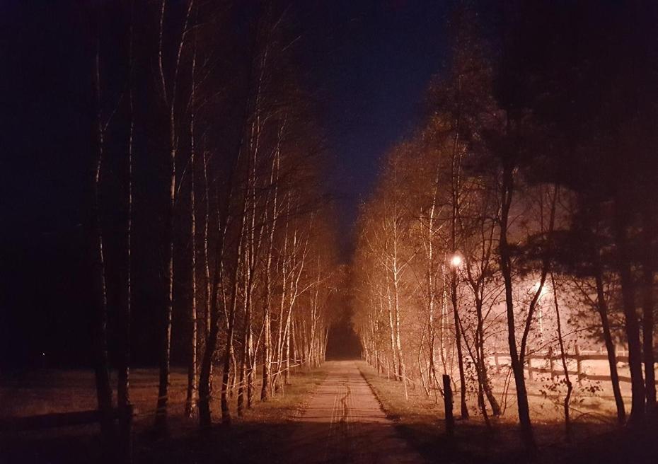 Agroturystyka Pod Modrzewiami Nowy Tomyśl Extérieur photo