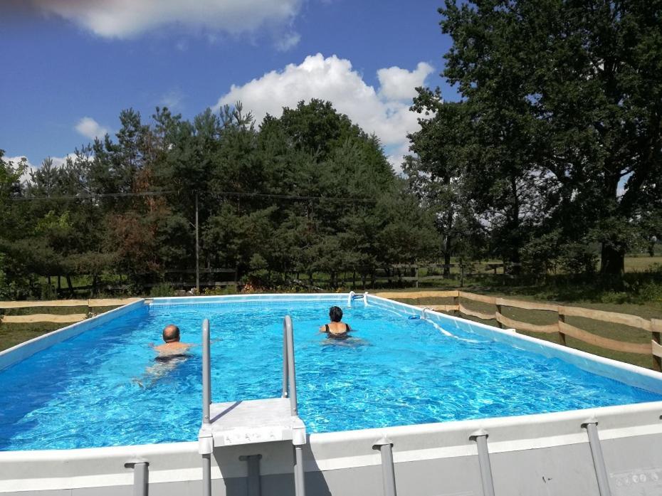 Agroturystyka Pod Modrzewiami Nowy Tomyśl Extérieur photo
