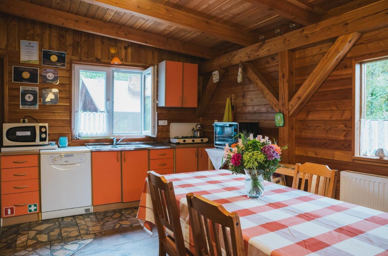 Agroturystyka Pod Modrzewiami Nowy Tomyśl Extérieur photo