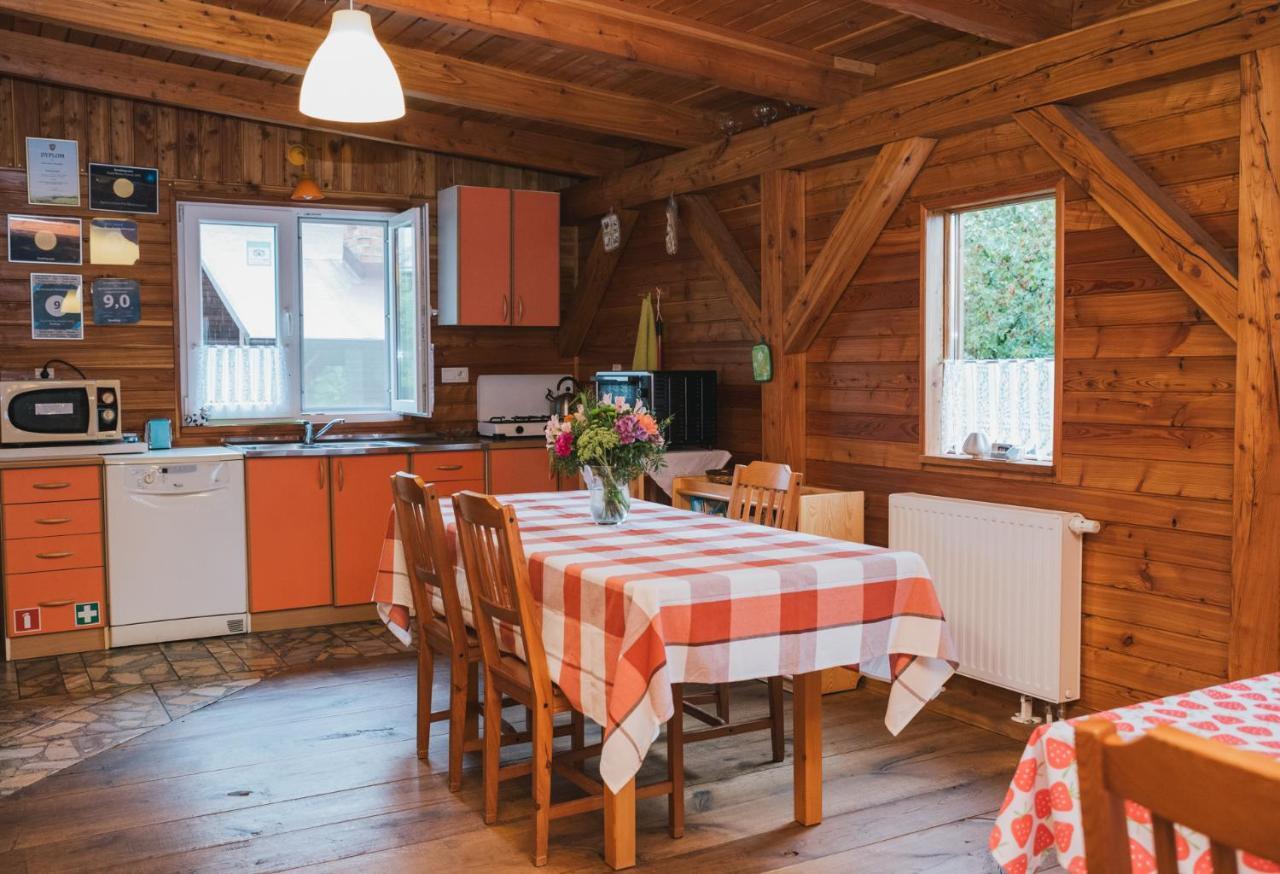 Agroturystyka Pod Modrzewiami Nowy Tomyśl Extérieur photo